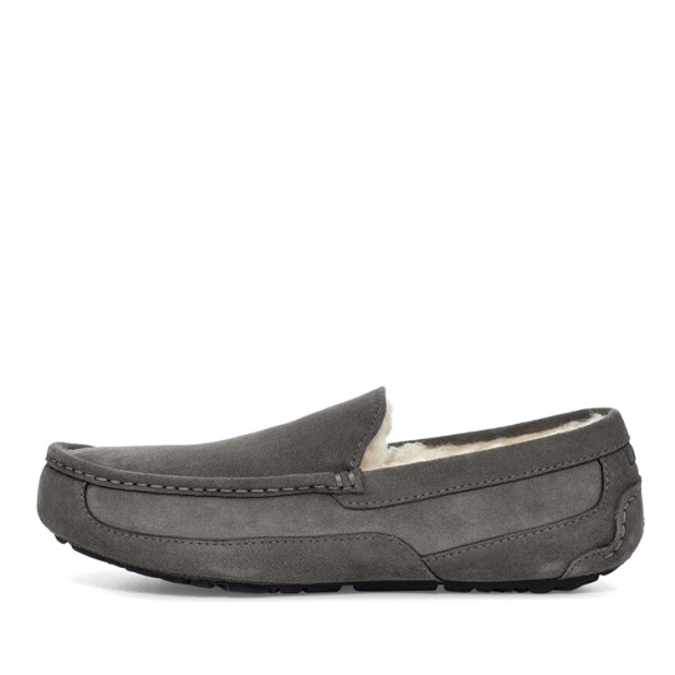 UGG Men's Ascot Grey