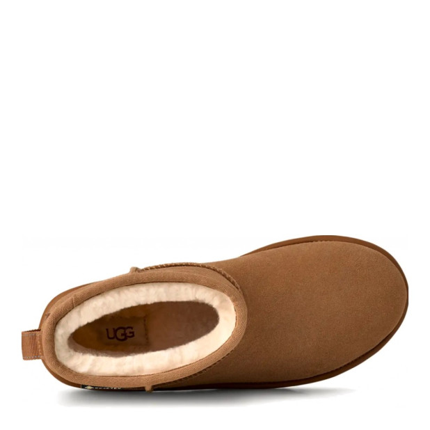 UGG Men's Classic Mini Gtx Boot Chestnut