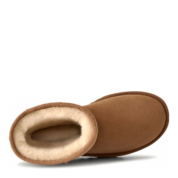 UGG Classic Short Chestnut