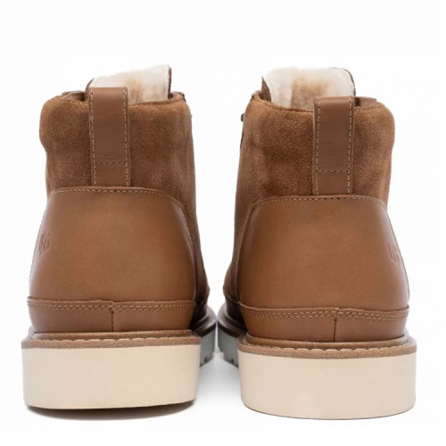 Neumel Gentleman Chestnut