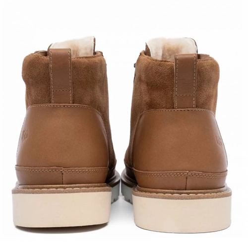 Neumel Gentleman Chestnut