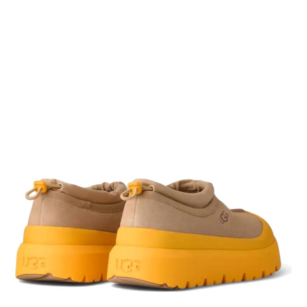 UGG Tasman Weather Hybrid Mustard Seed Summer Wheat